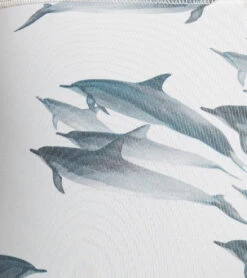 Xcel Women's Ocean Ramsey 8oz. Sport Capri 9 Xcel Women's Ocean Ramsey 8oz. Sport Capri -Swimming And Diving 5668058300584 dolphingunmetal 5a