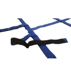 Economy 10 Point Strap System -Swimming And Diving 5668273422504 blue 3a