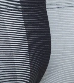 Arena Boys' Blended Stripe Brief Swimsuit -Swimming And Diving 5668798890152 black 3a