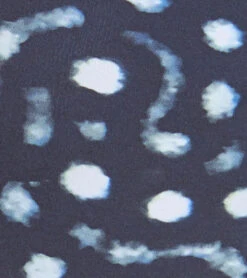 Xcel Womens Ocean Ramsey Axis 2mm Long Sleeve Back Zip Spring Suit -Swimming And Diving 5680475504808 blackwhaleshark 5a