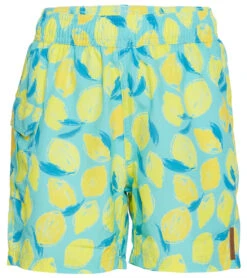 Boys' Swim Trunk (Little Kid, Big Kid)