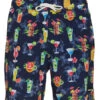 Men's 17" Fiesta Printed Swim Trunks