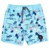 Boys' Boardshorts (Toddler, Little Kid, Big Kid)