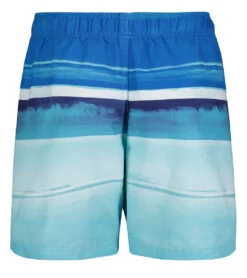 Under Armour Boys' UA On The Horizon Volley Shorts (Little Kid) -Swimming And Diving 7647419170984 bluecircuit 3a