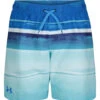 Under Armour Boys' UA On The Horizon Volley Shorts (Little Kid, Big Kid)