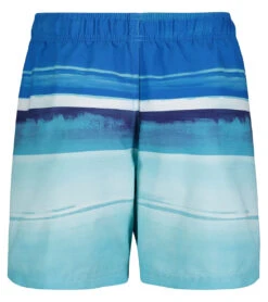Under Armour Boys' UA On The Horizon Volley Shorts (Little Kid, Big Kid) -Swimming And Diving 7647419433128 bluecircuit 3a