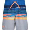 Under Armour Boys' UA Serenity View Volley Shorts (Little Kid, Big Kid)