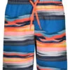 Under Armour Boys' UA Serenity Stripe Volley Shorts (Little Kid)